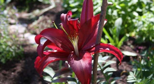 Гостиница Ясень Пермь-7