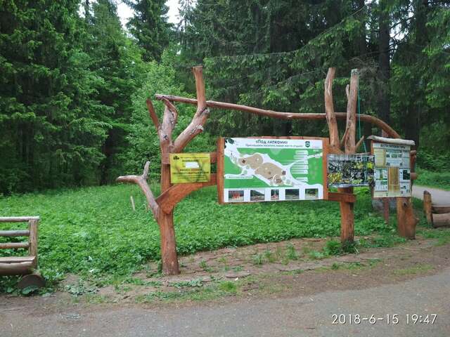 Гостиница Ясень Пермь-12