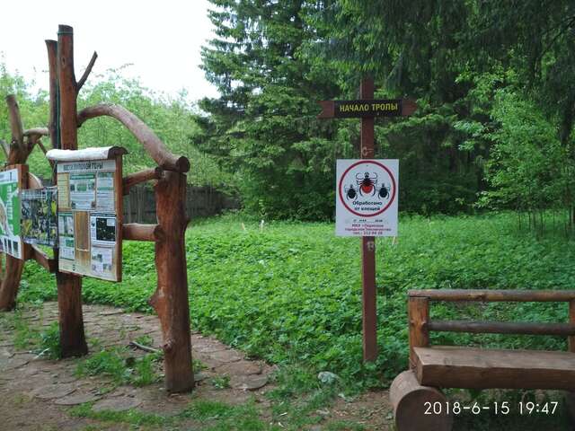 Гостиница Ясень Пермь-44